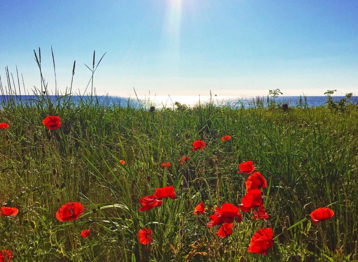 Strandresort Prora - Wg 216 Mit Meerblick Und Ir-Sauna Binz Luaran gambar